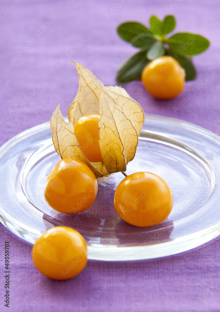 physalis on a glass physalis on a glass