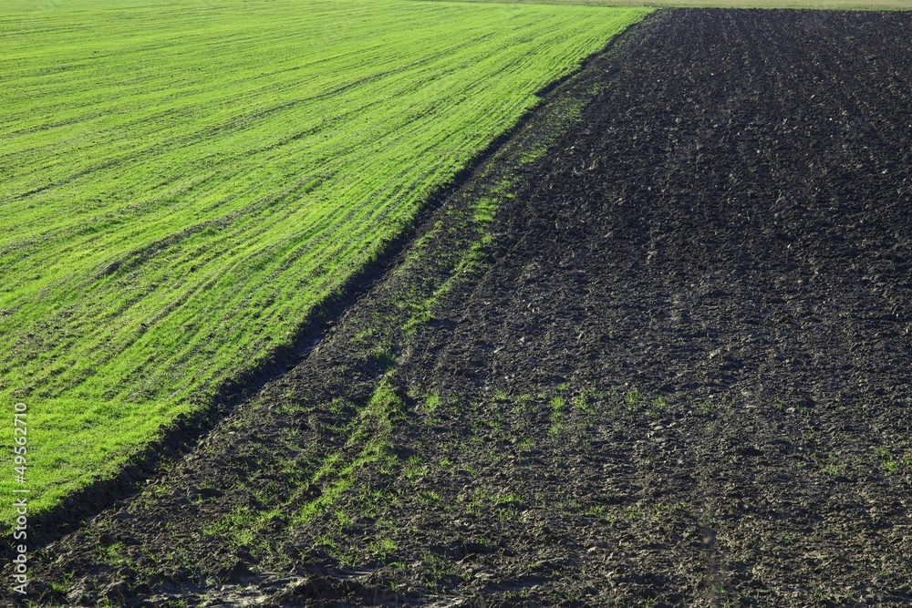 Field Field