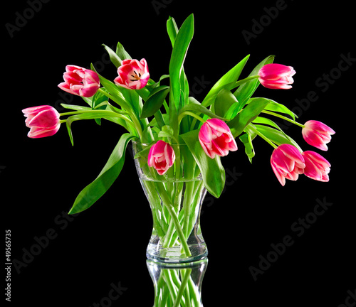Wallpaper Mural pink tulips in a clear vase Torontodigital.ca