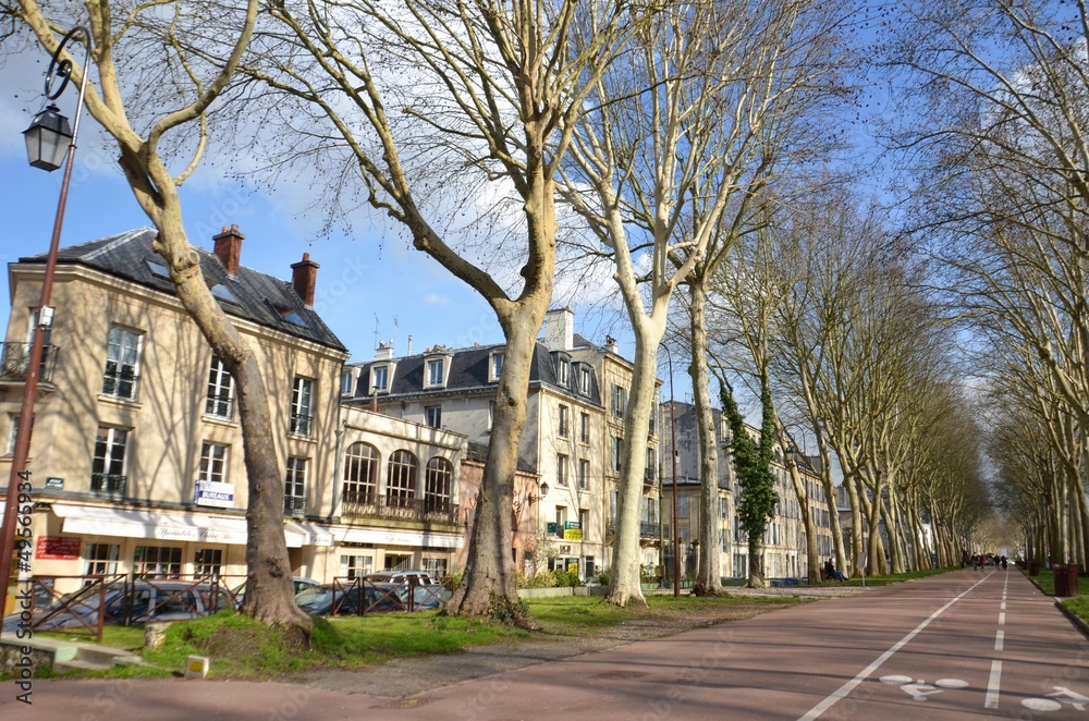 L'une des trois avenues de Versailles: Saint cloud L'une des trois avenues de Versailles: Saint cloud
