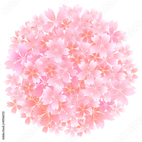 桜　さくら　春　花びら