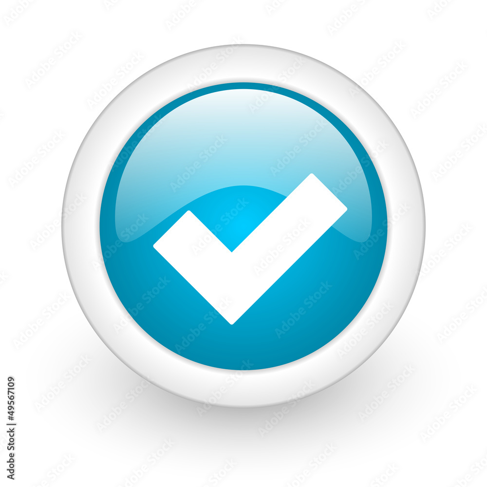 accept blue circle glossy web icon on white background accept blue circle glossy web icon on white background