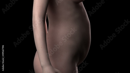 Female pregnancy in time-lapse lateral view photo