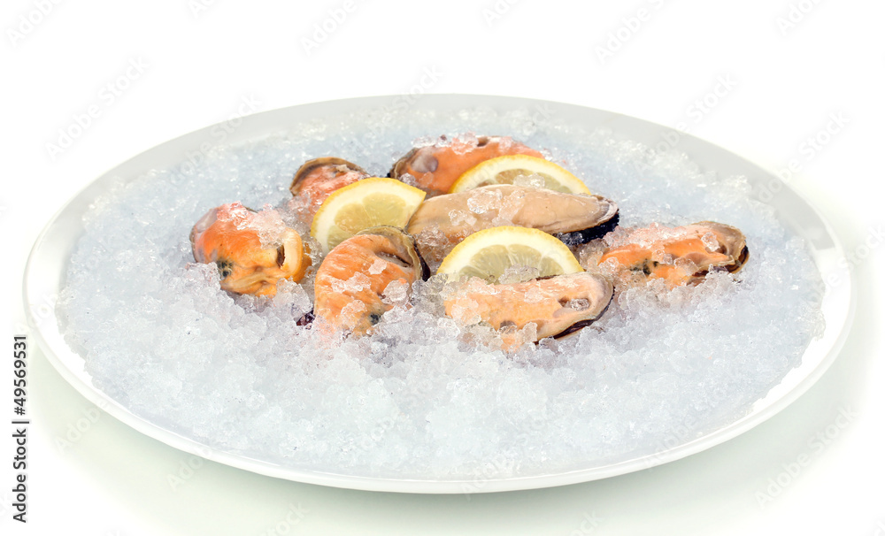 Mussels on ice in plate isolated on white Mussels on ice in plate isolated on white