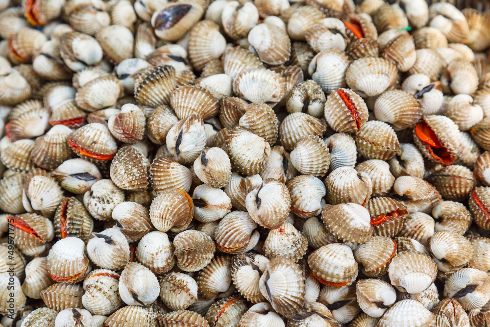 Shellfish Blood Cockles edible background