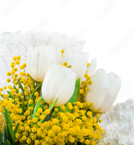 White tulips with a mimosa, a background from flowers
