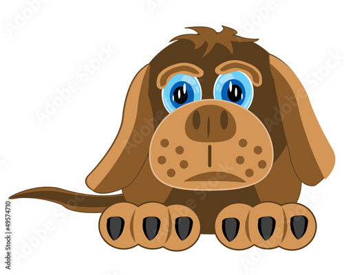 Drawing of the dog on white background