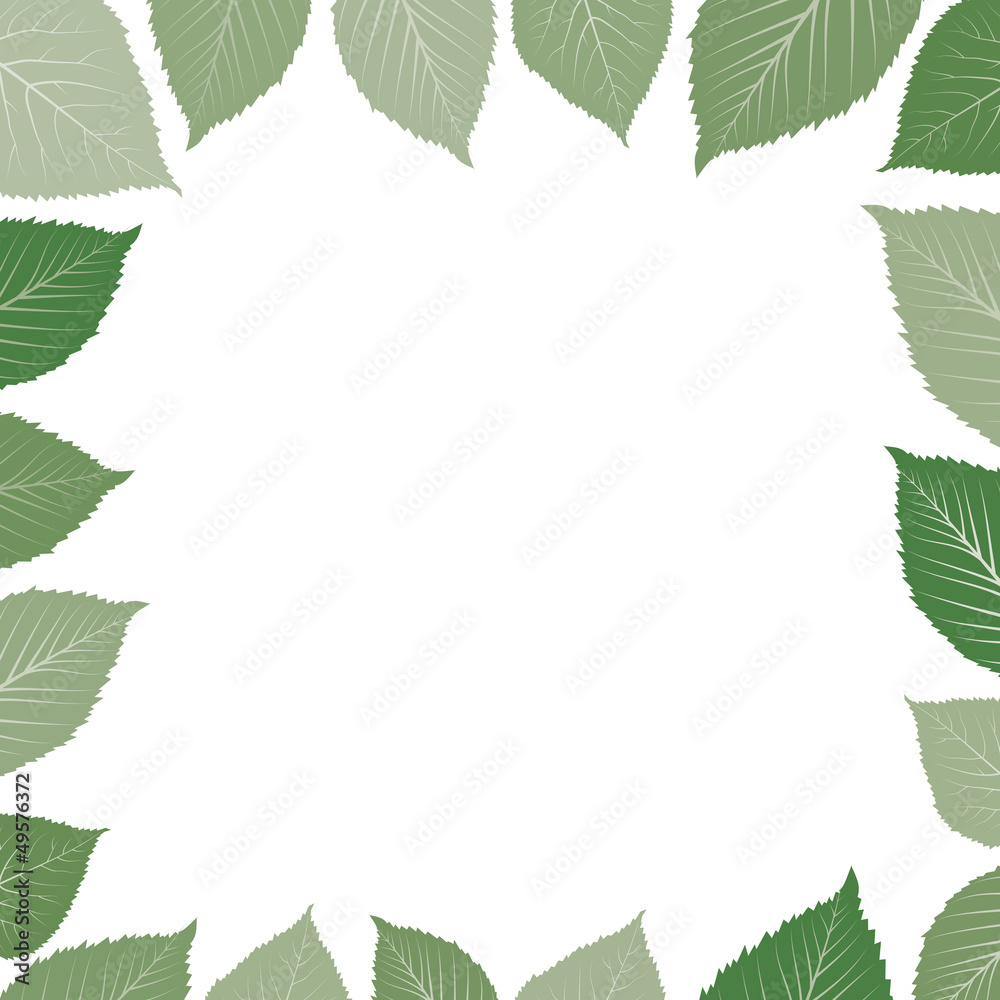 frame with green leaf