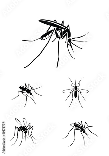 mosquito Collection Set © indomercy