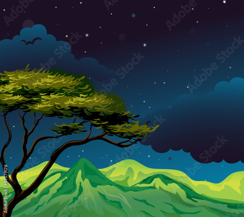 A starry evening