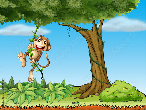 A monkey playing with the vine plant