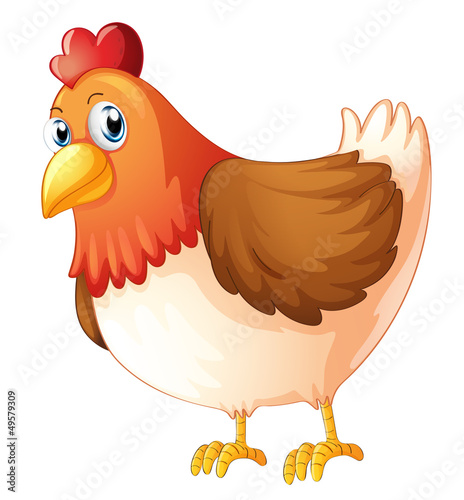 A mother hen