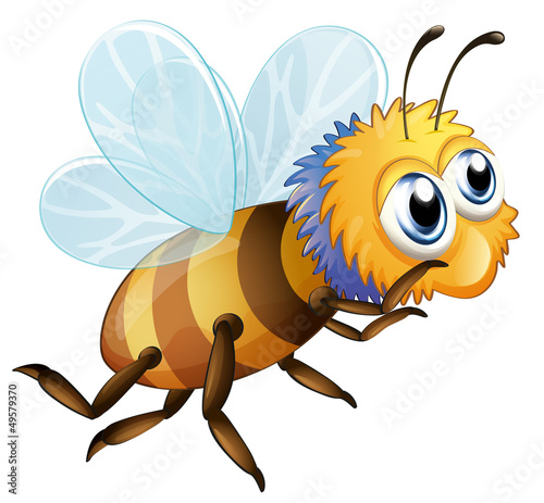 A bee