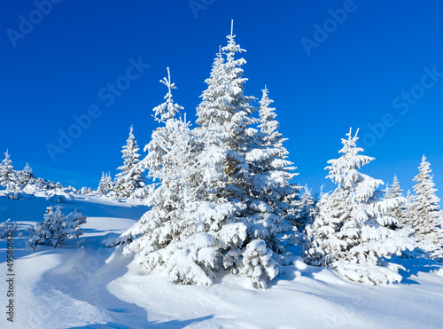 Morning winter mountain landscape © wildman