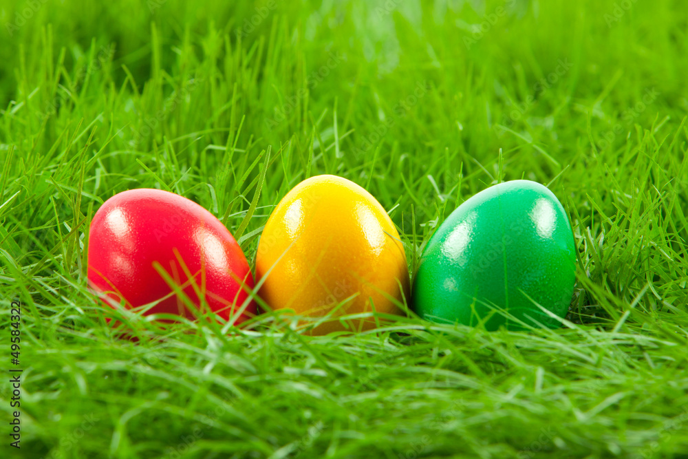 Easter eggs in Fresh Green Grass .
