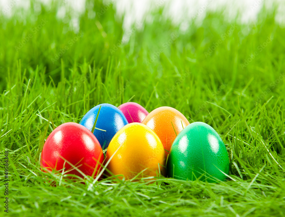 Easter eggs in Fresh Green Grass .