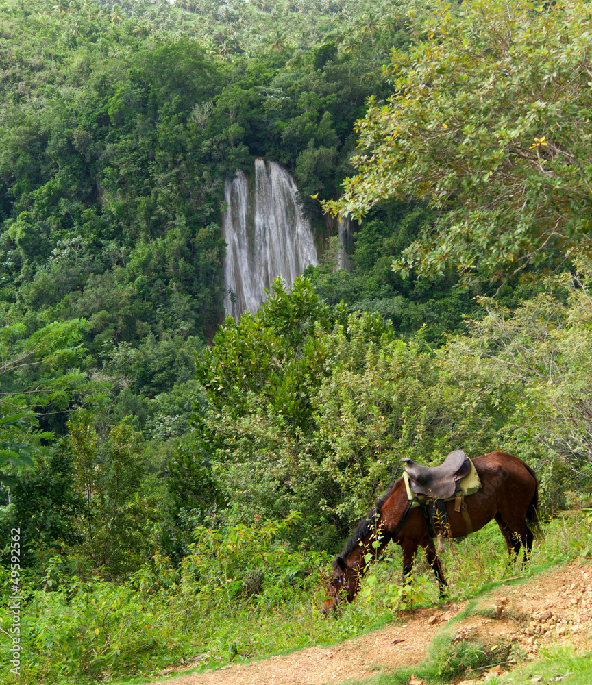 Fototapeta premium Famous waterfall 