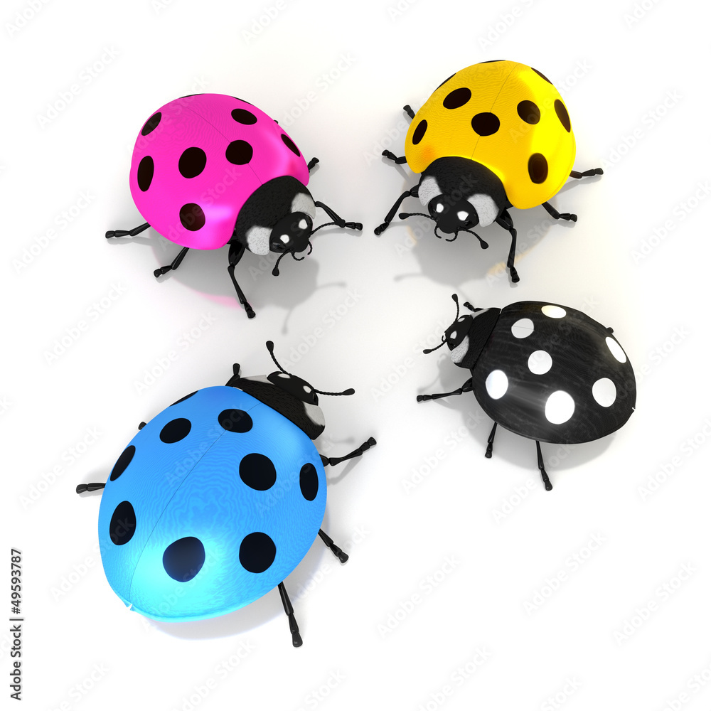 Fototapeta premium Réunion de coccinelles
