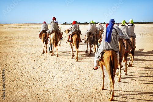 Sahara desert photo