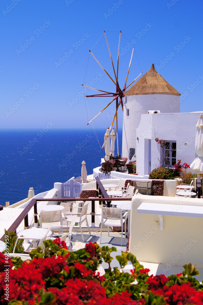 Fototapeta premium Słynny wiatrak Santorini, Grecja z czerwonymi kwiatami