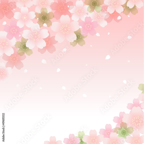 桜 サクラ 花びら 花吹雪 背景 バックグラウンド イラスト Spring Cherry Blossom Background Stock Vector Adobe Stock