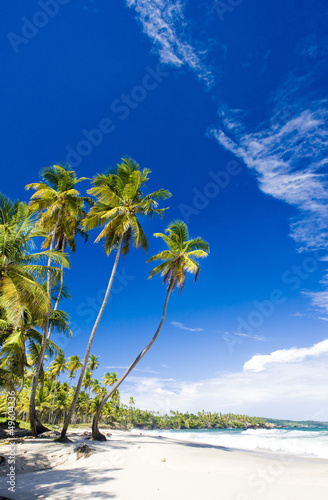 Cumana Bay, Trinidad photo