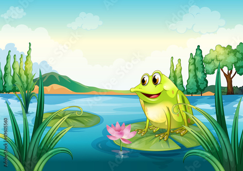 A frog at the river