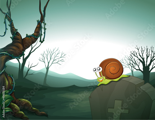 A graveyard with a snail