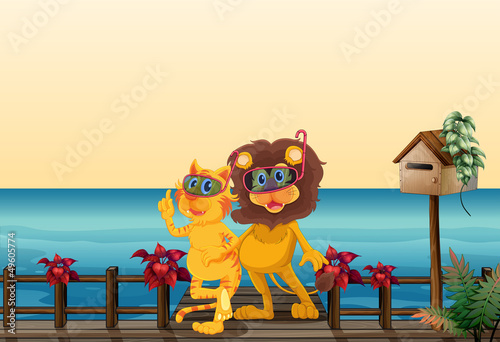 A lion and a tiger at the bridge
