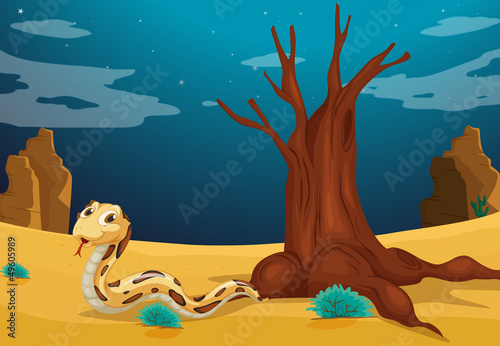 A snake at the desert