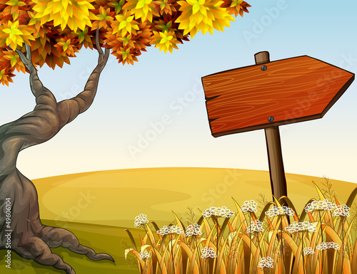 An autumn view in the hill