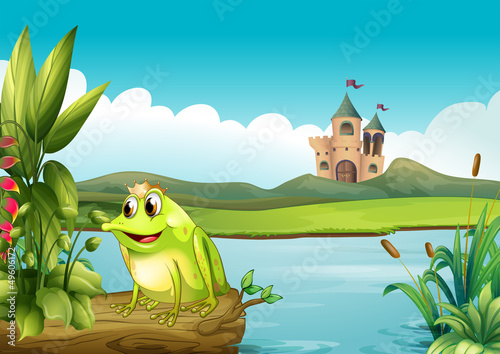 A frog with a crown