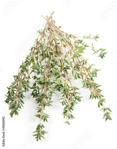 Bunch of thyme isolated on white