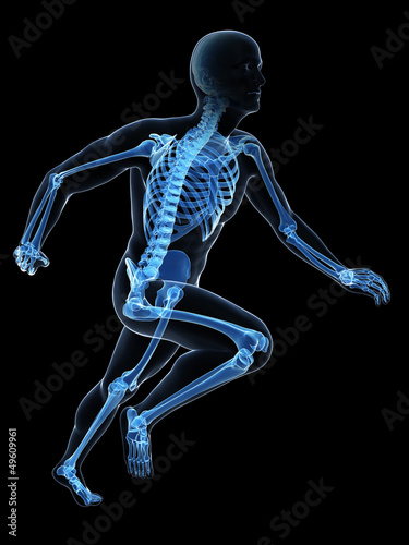 3d rendered illustration - runner anatomy © Sebastian Kaulitzki