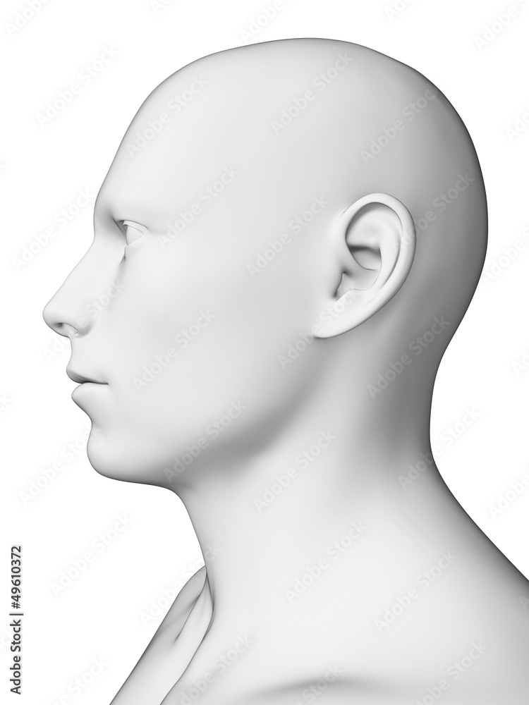 3d rendered illustration - white male head