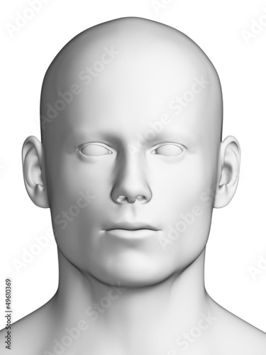 3d rendered illustration - white male head