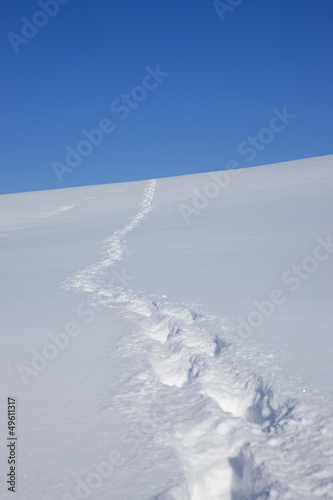 Spuren im Schnee