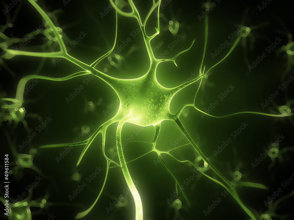 3d rendered illustration - nerve cell