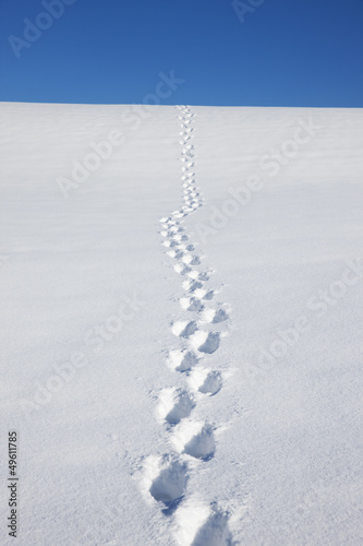 Spuren im Schnee