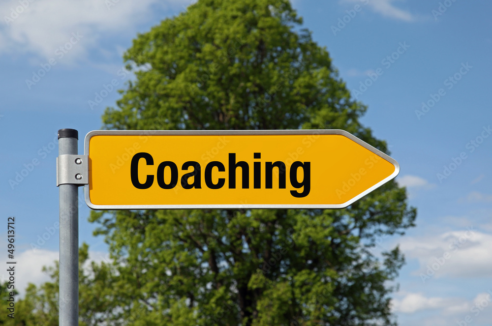 Fototapeta premium Gelber Pfeil mit Baum COACHING