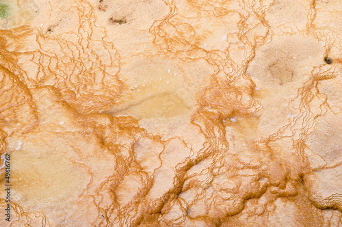 Rocks with salt sediments in the water