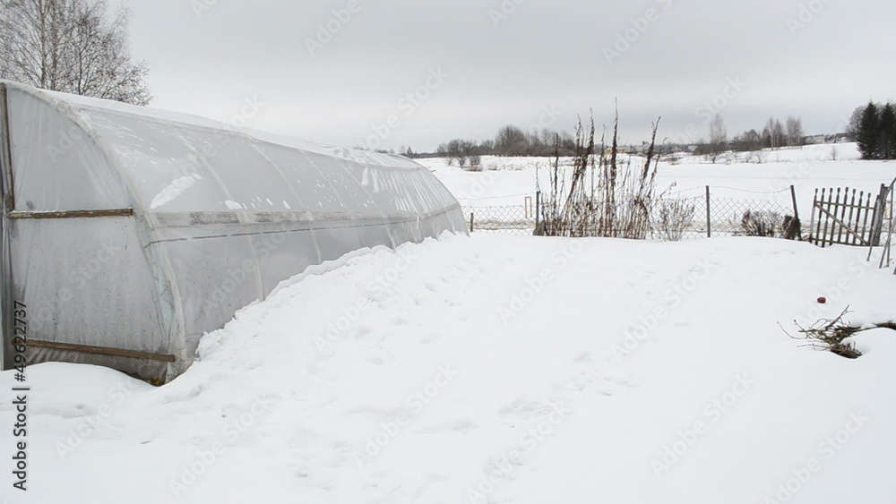 homemade polythene greenhouse snow rotten apples winter garden homemade polythene greenhouse snow rotten apples winter garden