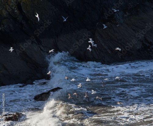 Point Lynas coastline photo