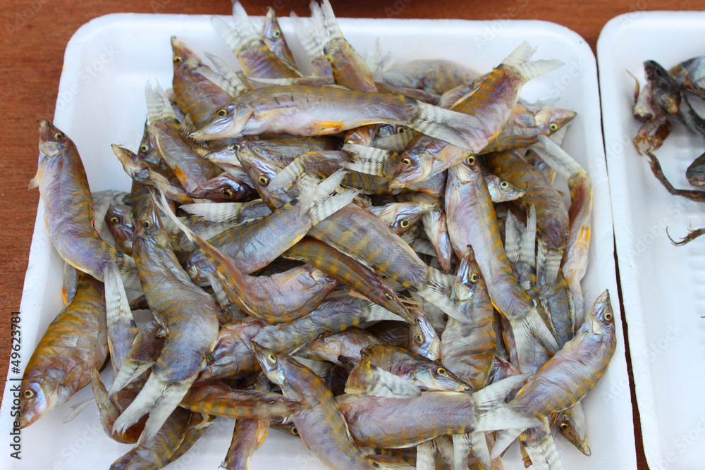 Dried Loaches Dried Loaches