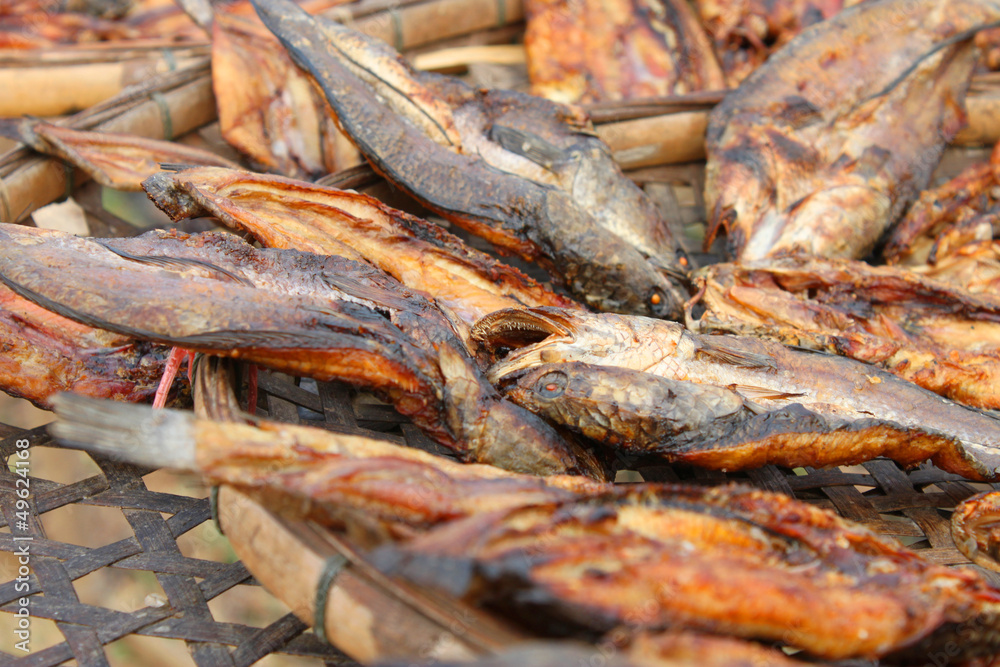 Dried freshwater fishes