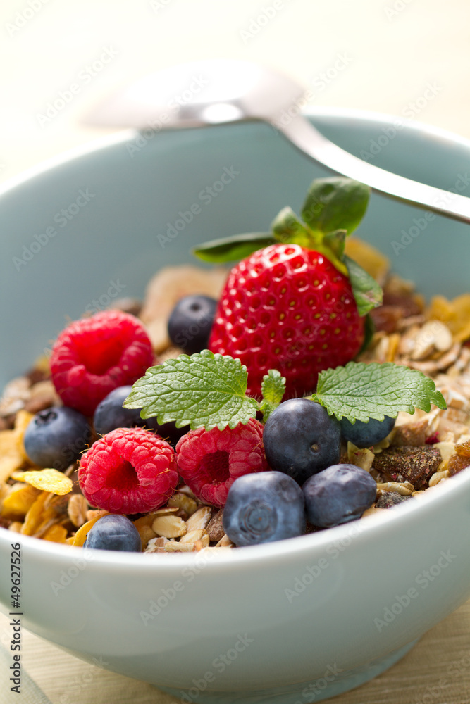 Müsli mit Beeren in blauer Schale Müsli mit Beeren in blauer Schale
