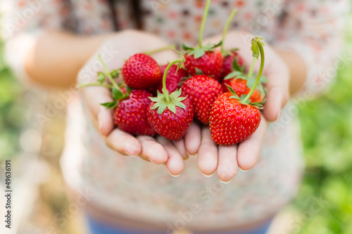 strawberry on woman hands