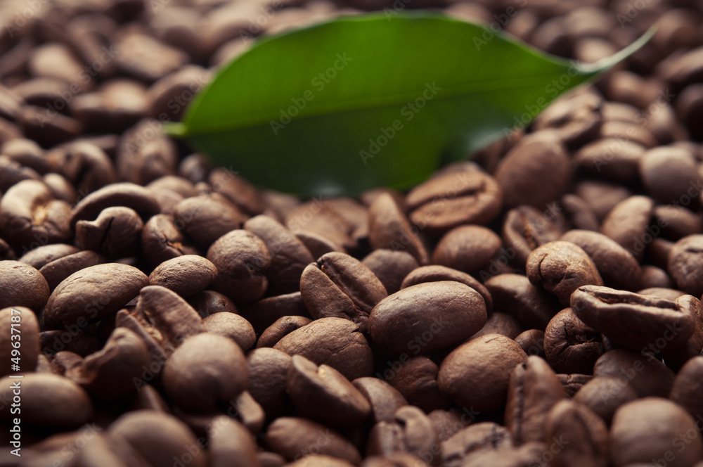 Obraz premium coffee beans background
