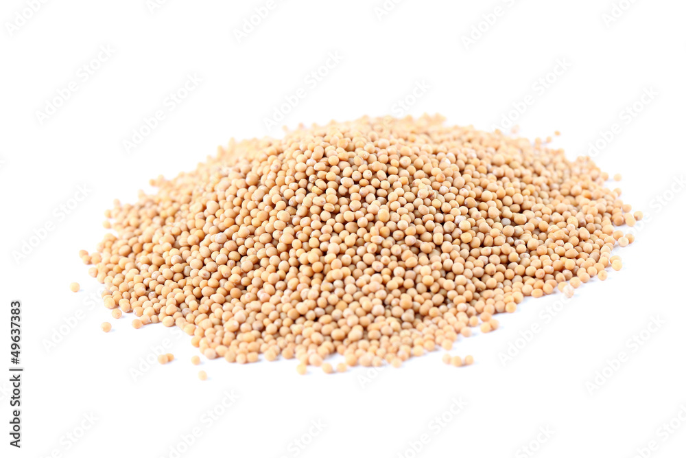 Mustard seeds Mustard seeds