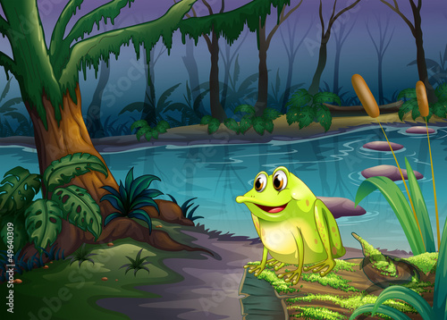 A frog above a trunk with algae